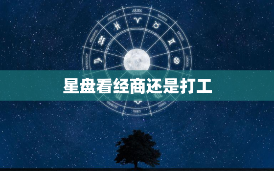 星盘看经商还是打工，星盘看经济条件