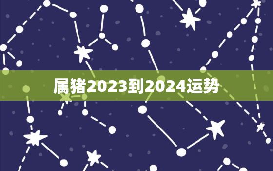 属猪2023到2024运势，2007年属猪在2023年怎么样