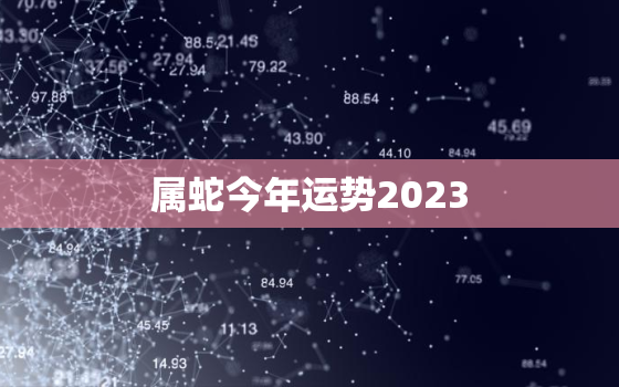 属蛇今年运势2023，属蛇今年运势2021年每月运势