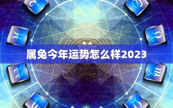 属兔今年运势怎么样2023，属兔今年运势怎么样2023年运程