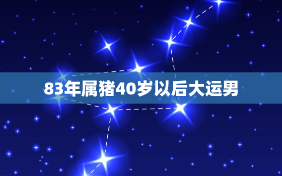 83年属猪40岁以后大运男，83年属猪40岁以后大运男命运如何