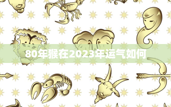 80年猴在2023年运气如何，2004年猴的2023年的命运如何