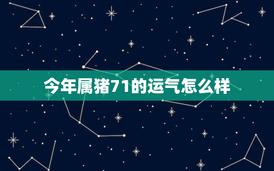 今年属猪71的运气怎么样，71属猪今年每月运程