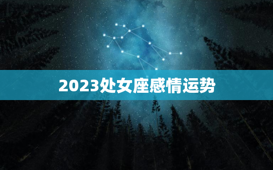 2023处女座感情运势，处女座2022感情