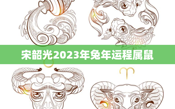 宋韶光2023年兔年运程属鼠，宋韶光2021年属兔的运程