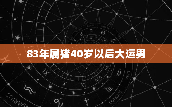 83年属猪40岁以后大运男，83年猪40岁财运如