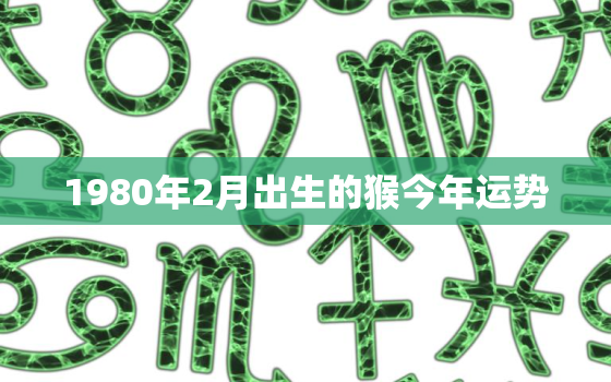 1980年2月出生的猴今年运势，1980年属猴2月份出生