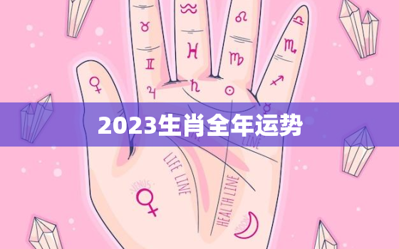 2023生肖全年运势，十二生肖2023年运势及运程每月运程