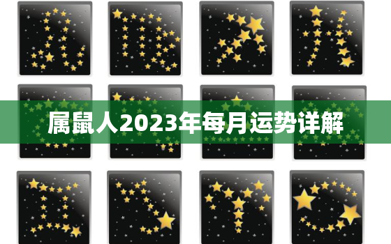 属鼠人2023年每月运势详解，属鼠人2023年运势运程每月运程