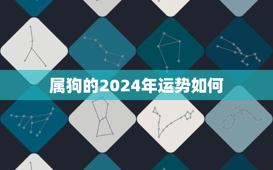 属狗的2024年运势如何，属狗的2024年运势如何看