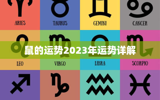 鼠的运势2023年运势详解，鼠的运势2023年运势详解
