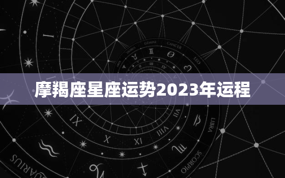 摩羯座星座运势2023年运程，摩羯座20212023