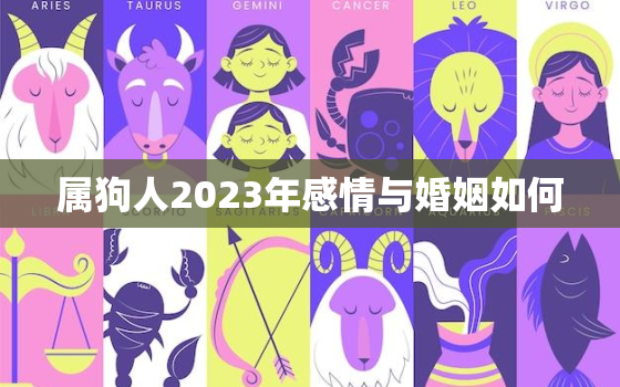 属狗人2023年感情与婚姻如何，属狗的人在2023年的运势怎么样