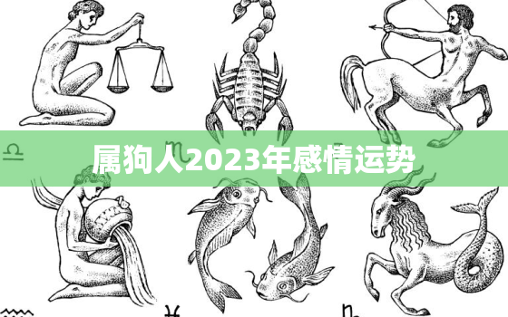 属狗人2023年感情运势，属狗人在2023年运势