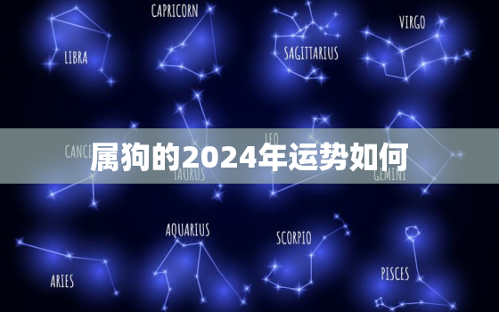 属狗的2024年运势如何，属狗人在2024年的全年运势