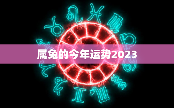 属兔的今年运势2023，属兔的今年运势2023年