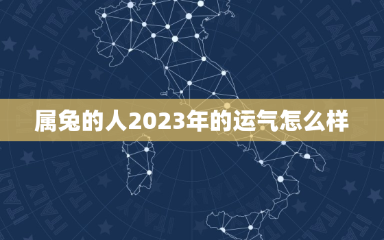 属兔的人2023年的运气怎么样，1987年属兔35岁后会大富大贵