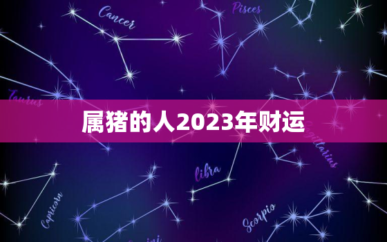 属猪的人2023年财运，属猪2023年运势详解