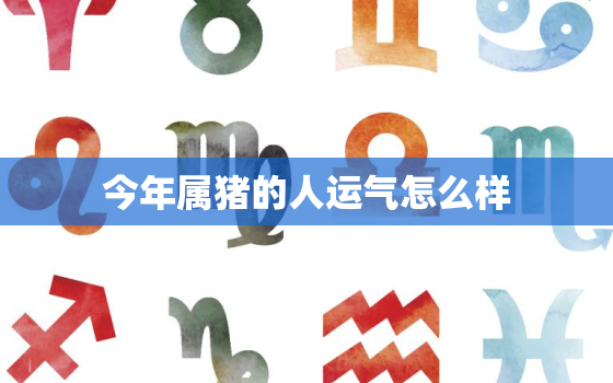 今年属猪的人运气怎么样，今年属猪的人运气怎么样下半年