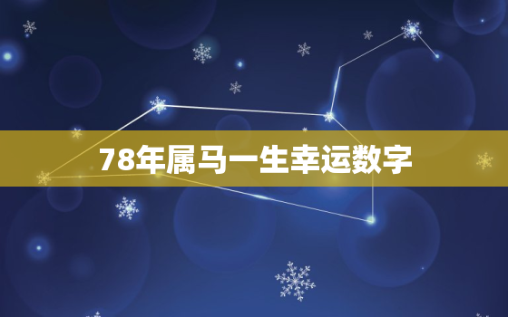 78年属马一生幸运数字，属马78年的幸运数字