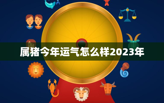 属猪今年运气怎么样2023年，属猪2023年运势及运程 2022年属猪人的全年每月运势