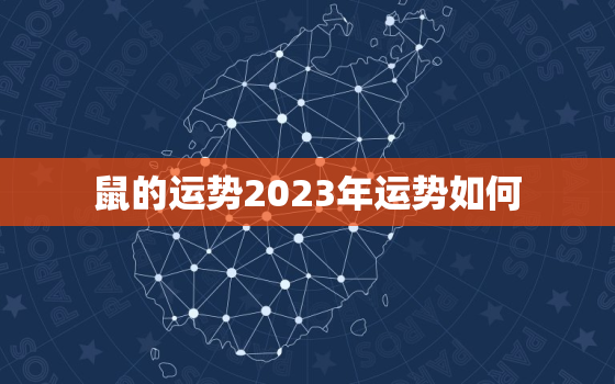 鼠的运势2023年运势如何，鼠2023年运势详解全年运程
