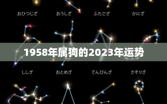 1958年属狗的2023年运势，1958年属狗的2023年多少岁