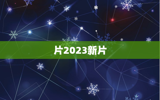 片2023新片，二零二一年新片