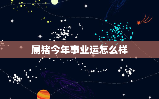 属猪今年事业运怎么样，属猪人2021年事业运势运程每月运程