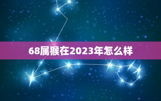 68属猴在2023年怎么样，1968年属猴人2023年财运