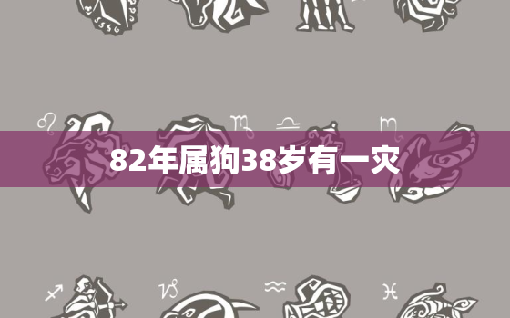 82年属狗38岁有一灾，82年属狗38岁有大劫