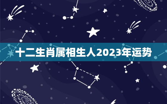 十二生肖属相生人2023年运势，十二生肖2023年运势及运程每月运程