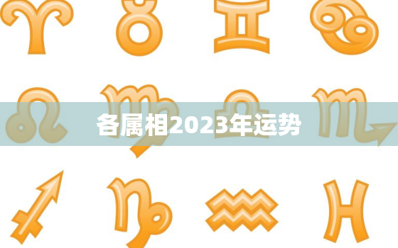 各属相2023年运势，12生肖运势2023年运势详解势详解