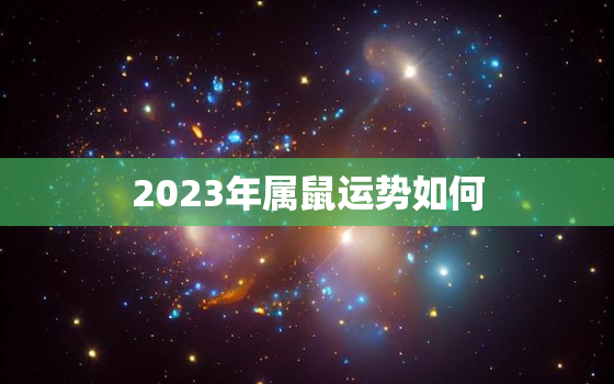 2023年属鼠运势如何，2023年属鼠运势如何旺财