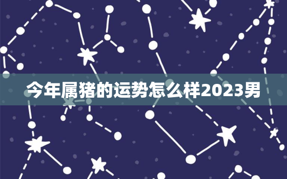 今年属猪的运势怎么样2023男，属猪今年运势2023年运势