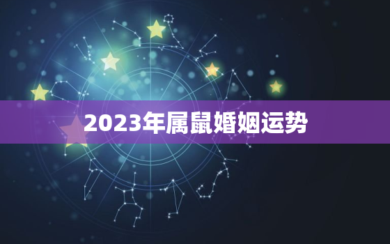 2023年属鼠婚姻运势，2023年属鼠婚姻运势怎么样