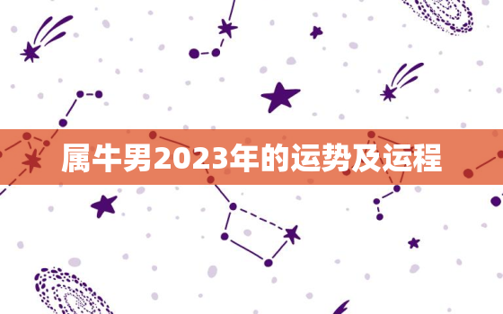 属牛男2023年的运势及运程，2023属牛人全年运势