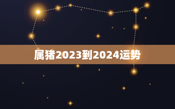 属猪2023到2024运势，1971属猪人2022年全年运势及运程