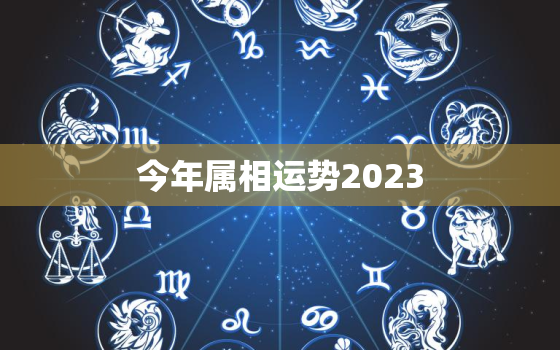 今年属相运势2023，今年属相运势2021