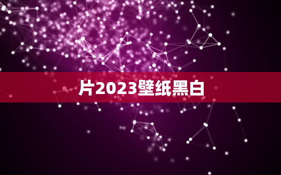 片2023壁纸黑白，2o2l壁纸