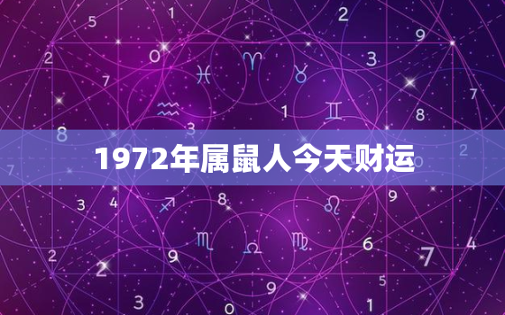 1972年属鼠人今天财运，1972年属鼠人今天财运如何