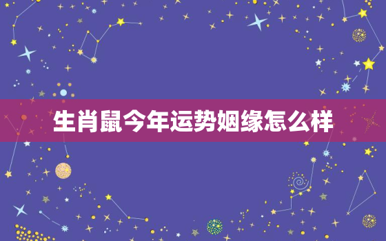 生肖鼠今年运势姻缘怎么样，属鼠今年的运势2021感情