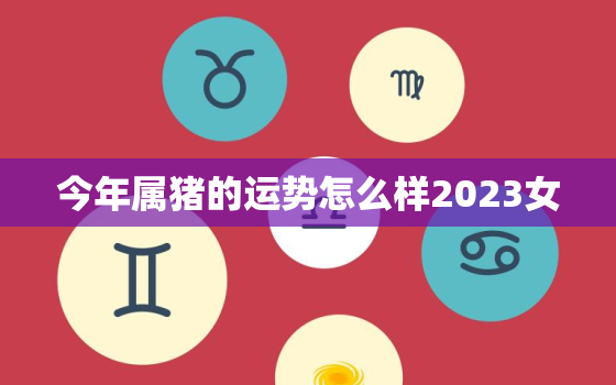 今年属猪的运势怎么样2023女，属猪今年运势2023年运势