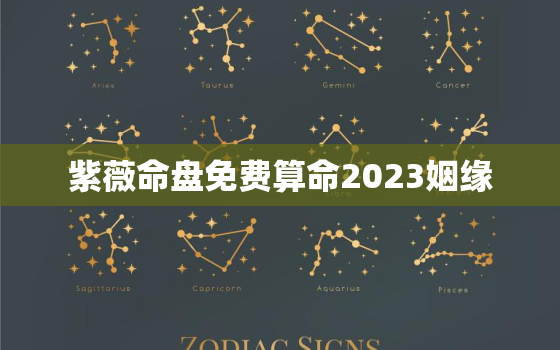 紫薇命盘免费算命2023姻缘，免费
命盘详解2020