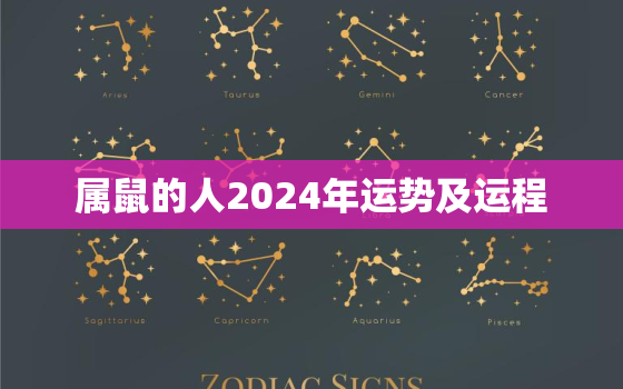 属鼠的人2024年运势及运程，属鼠2024年运势及运程详解