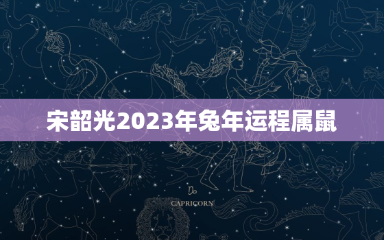 宋韶光2023年兔年运程属鼠，2021年宋绍光鼠年运势