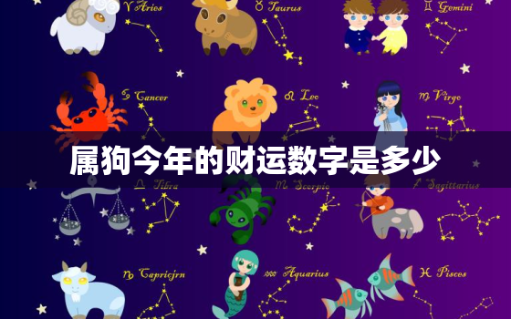 属狗今年的财运数字是多少，属狗的今年财运怎么样?