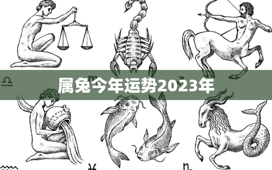 属兔今年运势2023年，属兔今年运势2023年财运