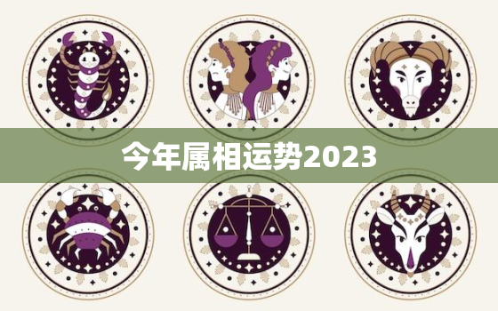 今年属相运势2023，今年属相运势