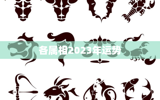 各属相2023年运势，生肖运势2023年运势大全每月